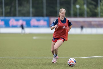 Bild 160 - wBJ Hamburger SV - FC Suederelbe : Ergebnis: 9:0
